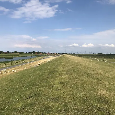 In Neufeld 아파트 Neufeld (Schleswig-Holstein)