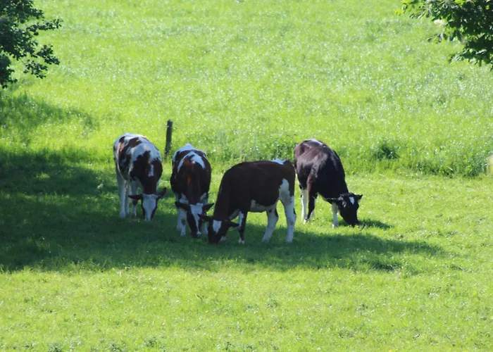 In Neufeld Appartamento *